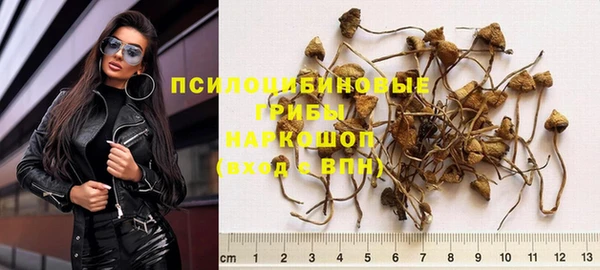 крисы Алексеевка