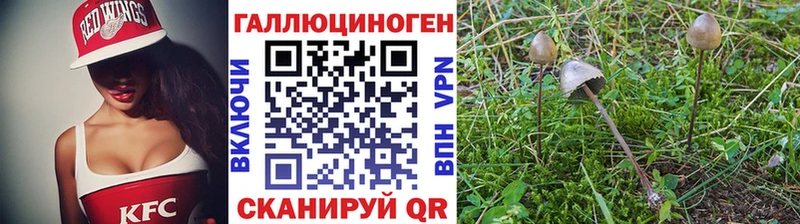 Псилоцибиновые грибы Cubensis  omg сайт  это состав  Камешково 